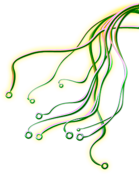 Dara Core AI - Rooted Artificial Intelligence.